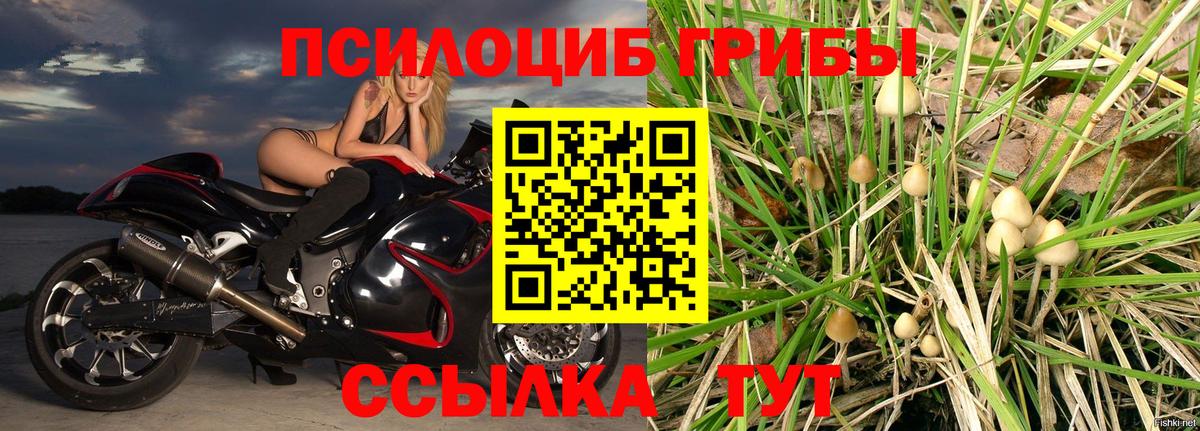 Галлюциногенные грибы ЛСД Выборг