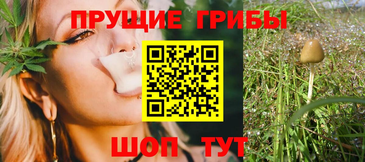 Псилоцибиновые грибы мухоморы  Вход с VPN  Выборг 