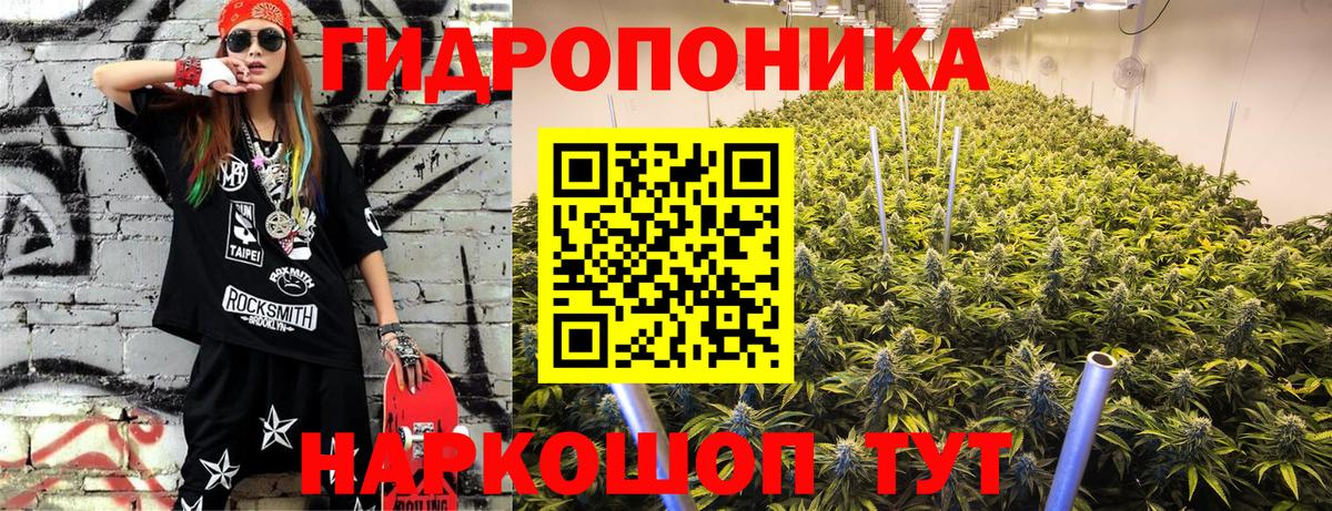 Выборг  Конопля THC 21%  Бошки Шишки марихуана  Вход с VPN 